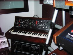 Boris Đurđević - Colonia